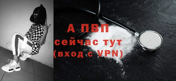 ешки Снежинск