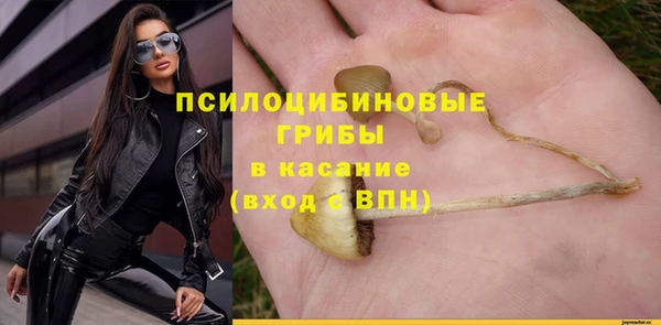 стаф Вяземский
