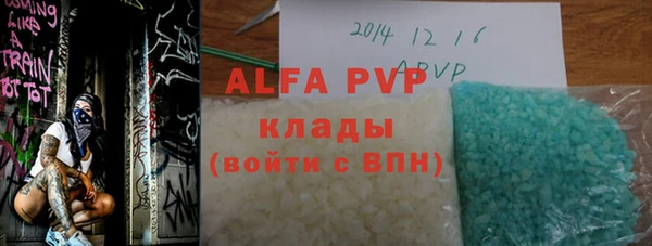 стаф Вяземский