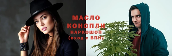 молекула духа Горнозаводск