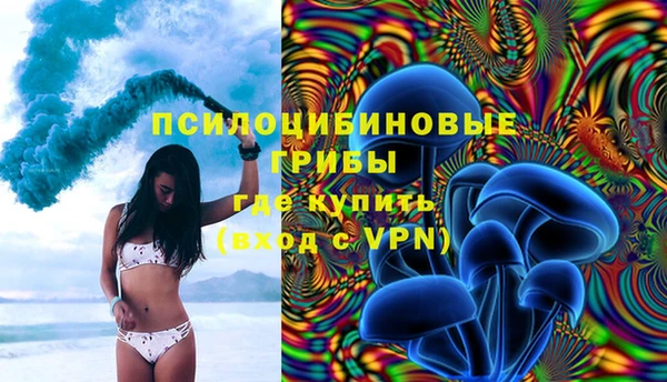 стаф Вяземский
