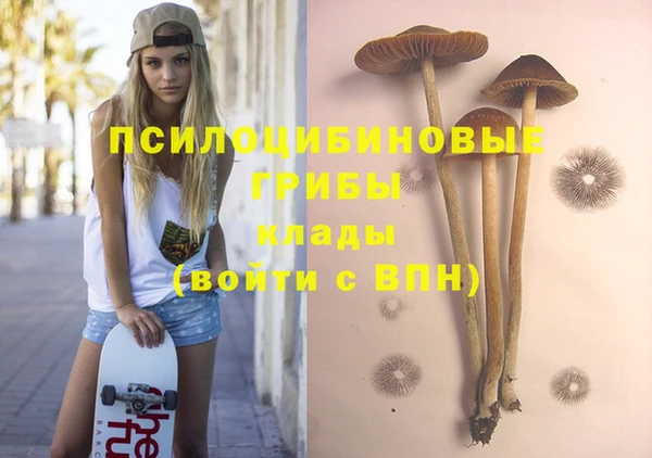 стаф Вяземский