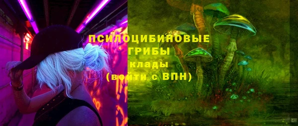прущая мука Вязники