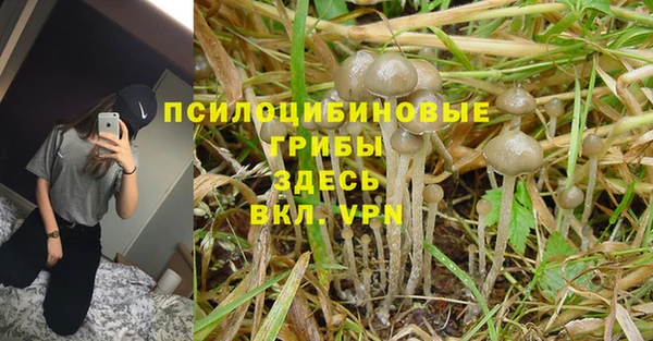 прущая мука Вязники
