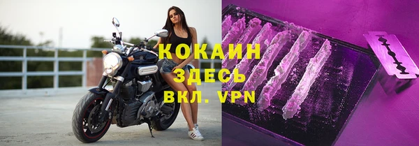 стаф Вяземский